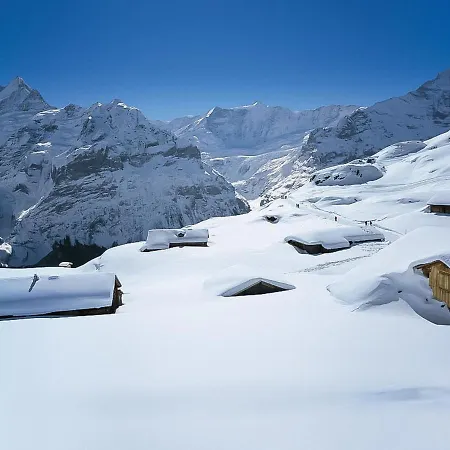 Reinhysi By Interhome Grindelwald