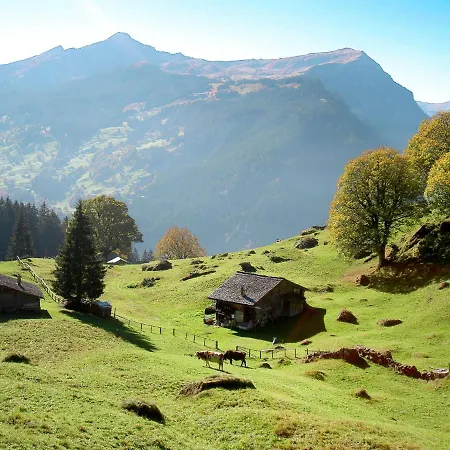Reinhysi * Grindelwald