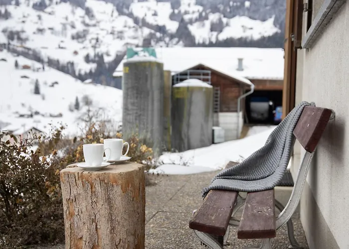 Reinhysi By Interhome Casa de Férias